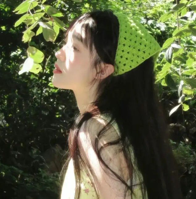 丁香花开的兽道 封面