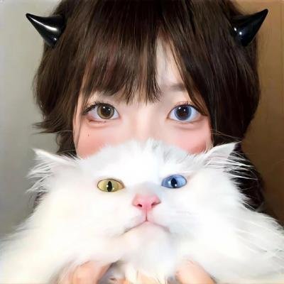 猴子 封面