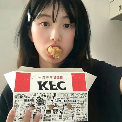 银翼追击 封面