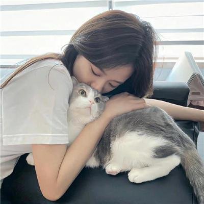 山林小猎人 封面